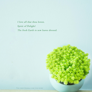 男人㮑女人妈妈儿子分钟
